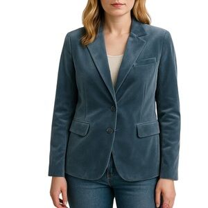 Allison Daley Grey Blue Velvet Button Up Fitted Blazer Jacket Sz 12